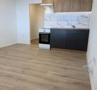 Garsonka s kuchyňskou linkou, sporákem a podlahou s dřevěným dekorem.