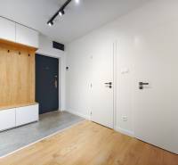 Vstupní hala dvoupokojového bytu s podlahou s dřevěným dekorem a úložným prostorem.