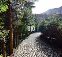 Lesní cesta obklopená stromy v Terchové, vede k chatě v horském prostředí.