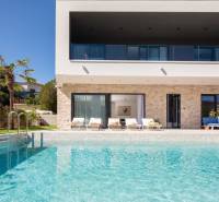 Vila v Bale s bazénem, palmami, terasou a lehátky na pozadí.