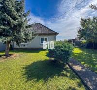 Rodinný dům v Ondřejovcích s travnatou zahradou, dvěma stromy a keřem u chodníku.
