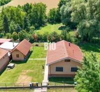 Rodinný dům v Nových Sadech s velkou zahradou a obklopený zelení.