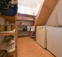 Spíž v rodinném domě s policemi, konzervami a starší ledničkou.