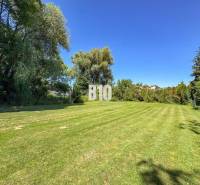 Travnatá zahrada u rodinného domu v Nových Sadech s vysokými stromy v pozadí.