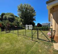 Zahrada rodinného domu v Nových Sadech, oplocená travnatá plocha, stromy a keře.