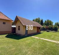 Rodinný dům v Nových Sadech s prostorným dvorem, vedle malého hospodářského objektu.