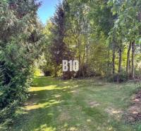 Zahrada u rodinného domu v Nových Sadech obklopená stromy a travnatým chodníkem.