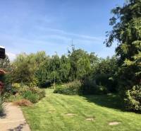 Zahrada u rodinného domu v Černé Vodě s bohatou výsadbou a udržovaným trávníkem.