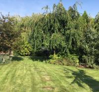 Zahrada u rodinného domu v Černé Vodě, lemovaná stromy a upraveným trávníkem.