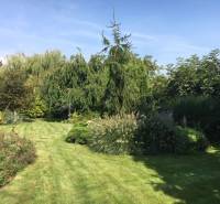 Zahrada u rodinného domu v Černé Vodě s bujnou zelení a trávníkem.