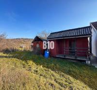 Venkovský domek a zahrady v Nitře během slunečného dne.