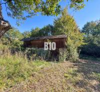 Chata v Lackově obklopená trávou a stromy během slunečného dne.