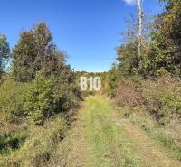 Chata v Lackově obklopená přírodou a zelenou cestičkou vedoucí k lesu.