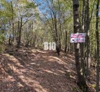 Lesní cesta v Lackově s nápisem zakazujícím vstup na soukromý pozemek.