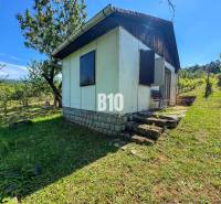 Dřevěná chatka uprostřed vinic v Nitře, obklopená zelení a stromy.