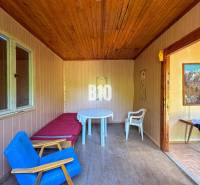 Pokoj s dřevěným stropem, křeslem, stolem a obrazy, v prostorách vinice.