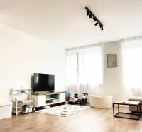 Obývací pokoj v 2pokojovém bytě s TV, hračkami a podlahou s dřevěným dekorem.