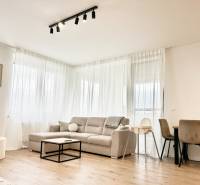 Obývací pokoj v 2-pokojovém bytě s pohovkou a podlahou s dřevěným dekorem.