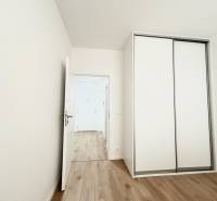 Pokoj se skříní a podlahou s dřevěným dekorem v 2pokojovém bytě.