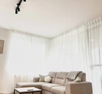 Světlý pokoj v 2-pokojovém bytě s pohovkou a podlahou s dřevěným dekorem.