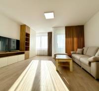 Obývací pokoj s pohovkou, televizí, stolkem a podlahou s dřevěným dekorem v 2pokojovém bytě.