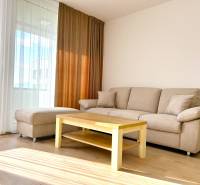 Obývací pokoj v dvoupokojovém bytě s pohovkou, stolkem a podlahou s dřevěným dekorem.