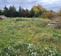 Zeleň na pozemku určeném k bydlení v Tvrdošovcích, s domy a stromy v pozadí.