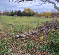 Pozemek v Tvrdošovcích vhodný k bydlení, obklopený stromy a zelení.