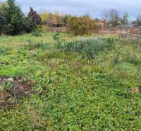 Zarostlý pozemek na bydlení v Tvrdošovcích s hustou vegetací a okolními stromy.