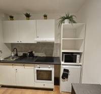 Kuchyně v garsonce s bílými skříňkami a podlahou s dřevěným dekorem.