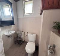 Koupelna v rodinném domě s WC, umyvadlem, sprchovým závěsem a oknem, ozdobená rostlinou.