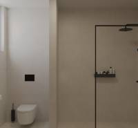 Koupelna v 2-pokojovém bytě s toaletou, sprchou a neutrálními obklady.