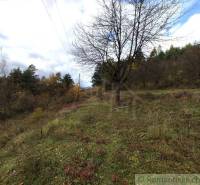 Podzim v přírodní zahradě v Hlbokom nad Váhom, s rozmanitými stromy a trávou.