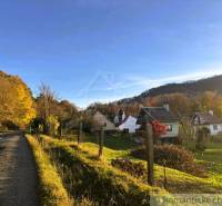Chaty v podzimní Sološnici obklopené lesy a sluncem osvětlená cesta.