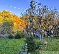 Podzimní zahrada u chaty v Sološnici s barevnými stromy a lavičkou.