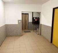 Vstupní hala s dlažbou a schody v obytném domě.