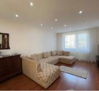 Obývací pokoj s velkou sedačkou, podlahou s dřevěným dekorem a starožitným nábytkem.