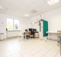 Omlouvám se, ale potřeboval bych vědět, co konkrétně chcete přeložit do češtiny. Můžete prosím poskytnout text, který chcete přeložit?