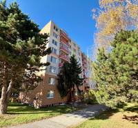 Bytový dům na ulici Hviezdoslavova v Senici obklopený zelení a stromy.