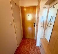 Vstupní předsíň 1-pokojového bytu s obkladem dřevěného dekoru a dlažbou na podlaze.