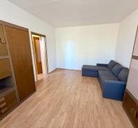 Obývací pokoj v jednopokojovém bytě s podlahou s dřevěným dekorem, sedačkou a skříněmi.