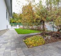 Dlažba a zahrada kolem rodinného domu v Domaniži, s bohatou zelení.