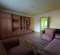 Obývací pokoj s podlahou s dřevěným dekorem v rodinném domě.