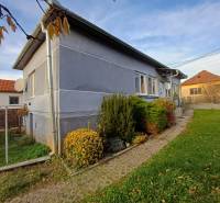 Rodinný dům v Dlouhé Vsi, zahrada s keři, dlažba vedoucí ke vchodu.