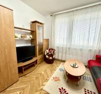 Garsonka s televizorem, červenou pohovkou a podlahou s dřevěným dekorem.