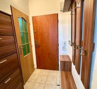 Garsonka se vstupní halou, dřevěnými zárubněmi a dlažbou, elegantní design a praktické úložné prostory.