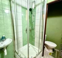 Koupelna v garsonce s rohovým sprchovým koutem, umyvadlem a bílými obkladačkami.