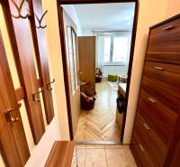 Garsonka s předsíní a podlahou s dřevěným dekorem, pohled do hlavní místnosti.