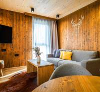 Obývací pokoj s dřevěnými stěnami, šedou pohovkou a podlahou s dřevěným dekorem v 2pokojovém bytě.