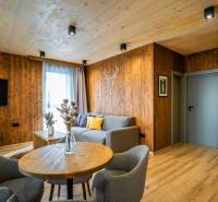 Obývací pokoj v 2-pokojovém bytě s podlahou s dřevěným dekorem a dřevěnými obklady.